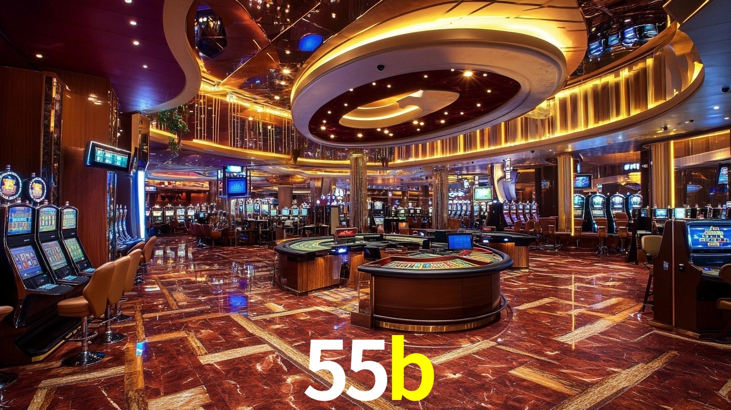 Premium Interface 55b