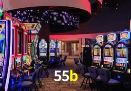 Sistema VIP 55b